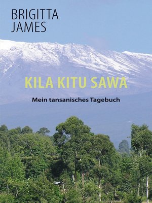 cover image of Kila Kitu Sawa